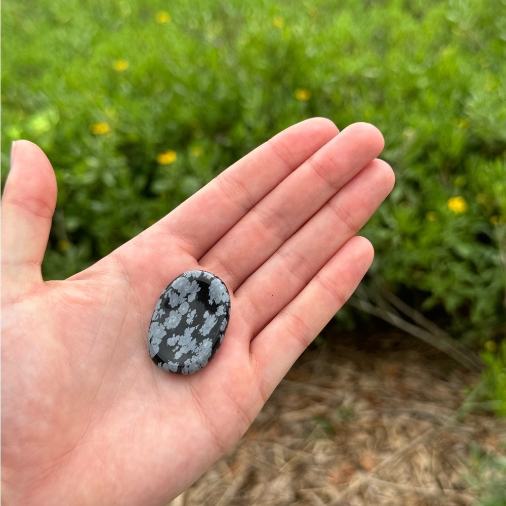 Snowflake Obsidian‎
